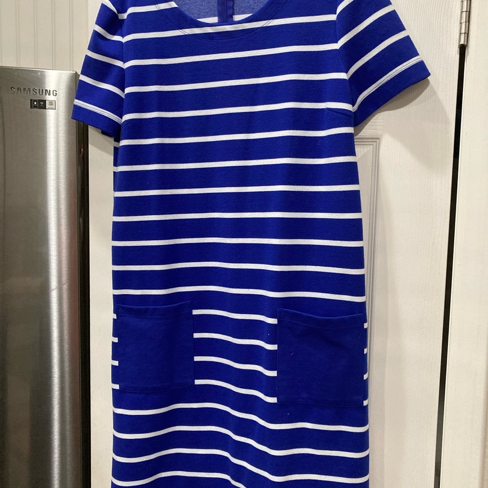 Blue and White Striped Dress (no name)